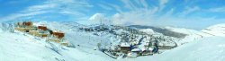 Faraya 1950